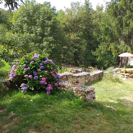 Gite Moulin De Ludieras Busserolles エクステリア 写真