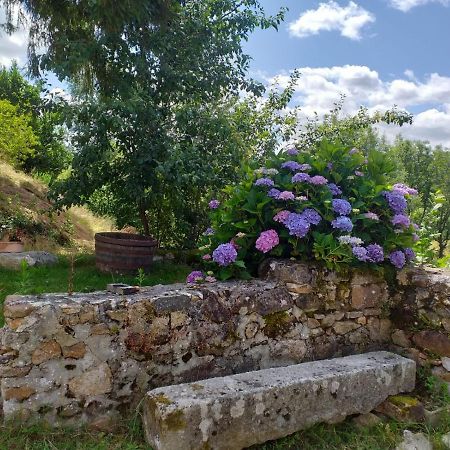 Gite Moulin De Ludieras Busserolles エクステリア 写真