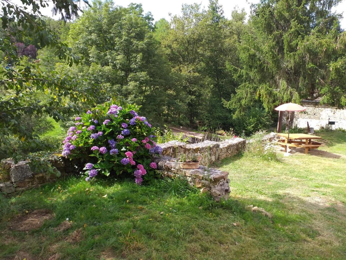 Gite Moulin De Ludieras Busserolles エクステリア 写真
